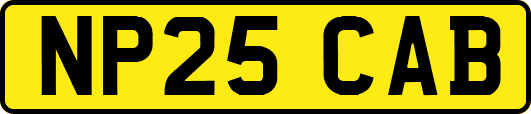 NP25CAB