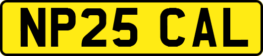 NP25CAL