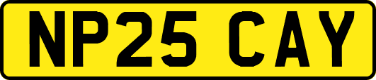 NP25CAY