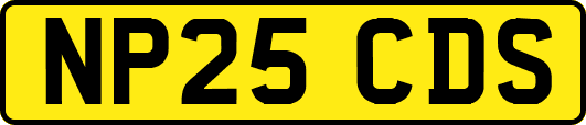 NP25CDS