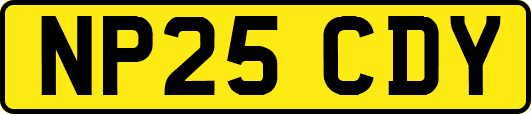 NP25CDY