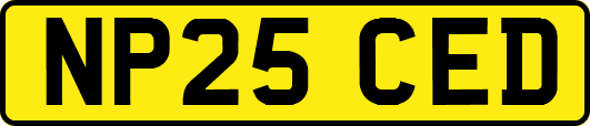NP25CED
