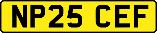 NP25CEF