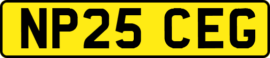 NP25CEG