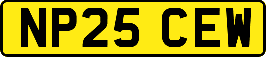 NP25CEW