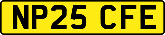 NP25CFE