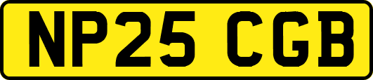 NP25CGB