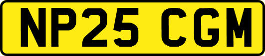 NP25CGM