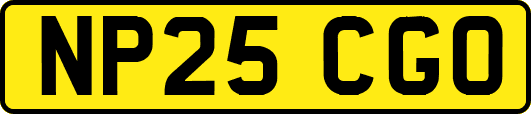 NP25CGO