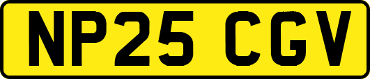 NP25CGV