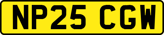 NP25CGW