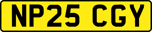NP25CGY