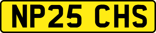NP25CHS