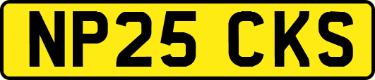 NP25CKS