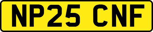 NP25CNF