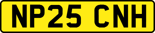 NP25CNH