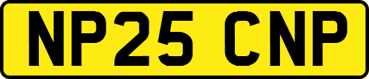 NP25CNP