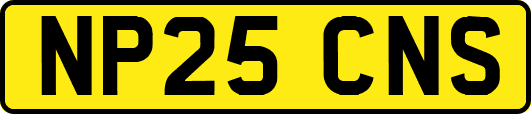 NP25CNS
