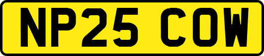 NP25COW