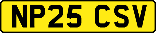 NP25CSV