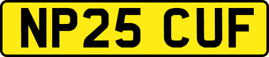 NP25CUF