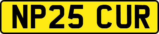 NP25CUR