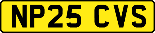 NP25CVS