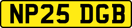 NP25DGB