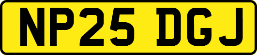 NP25DGJ