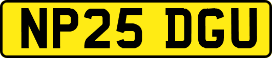 NP25DGU