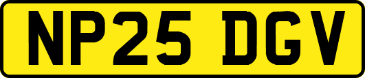 NP25DGV