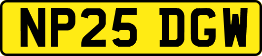 NP25DGW