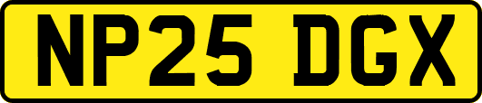 NP25DGX