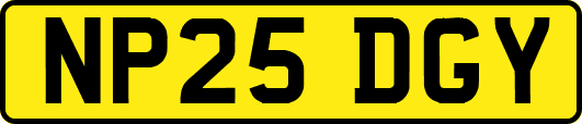 NP25DGY