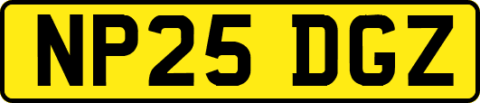 NP25DGZ