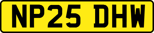NP25DHW