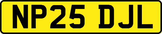 NP25DJL