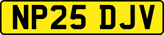 NP25DJV