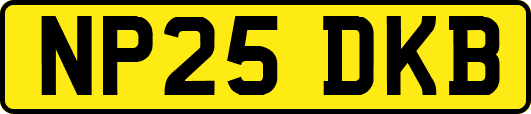 NP25DKB