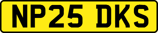 NP25DKS