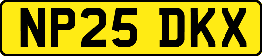 NP25DKX