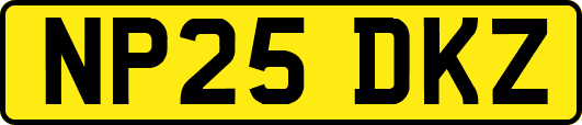 NP25DKZ
