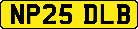 NP25DLB