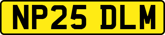 NP25DLM