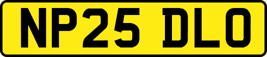 NP25DLO