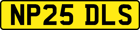 NP25DLS