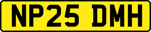 NP25DMH