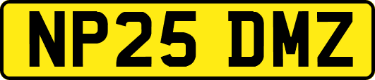 NP25DMZ