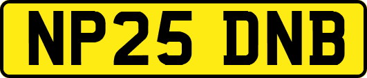 NP25DNB