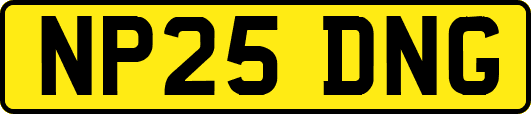 NP25DNG